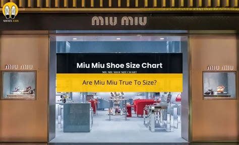 miu miu shoe size chart|Miu Miu ballet flats.